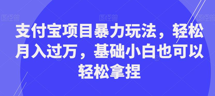 支付宝项目暴力玩法，轻松月入过万，基础小白也可以轻松拿捏【揭秘】-小伟资源网