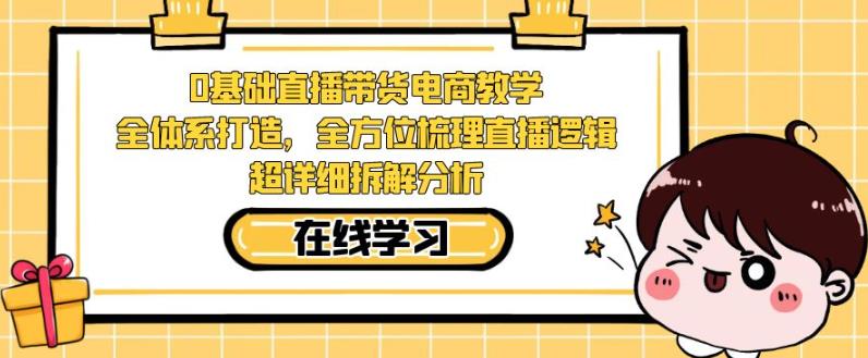 零基础直播带货电商教学，全方位梳理直播逻辑，超详细拆解分析-小伟资源网