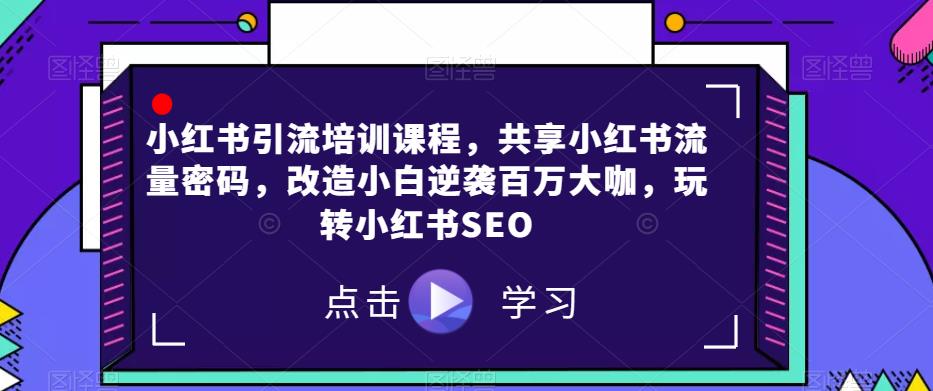 小红书引流培训课程，共享小红书流量密码，改造小白逆袭百万大咖，玩转小红书SEO-小伟资源网