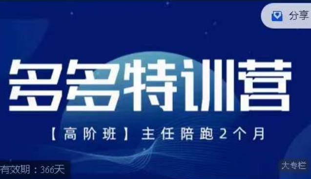 纪主任·多多特训营高阶班【9月13日更新】，拼多多最新玩法技巧落地实操-小伟资源网