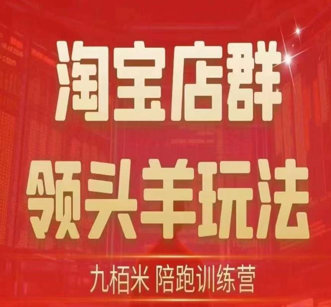 九栢米-淘宝店群领头羊玩法，教你整个淘宝店群领头羊玩法以及精细化/终极蓝海/尾销等内容-小伟资源网