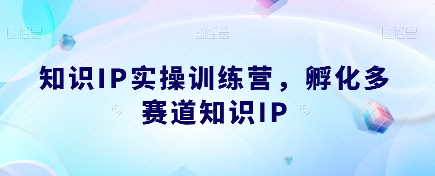 知识IP实操训练营，​孵化多赛道知识IP-小伟资源网