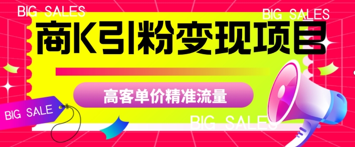 商K引粉变现项目，高客单价精准流量【揭秘】-小伟资源网