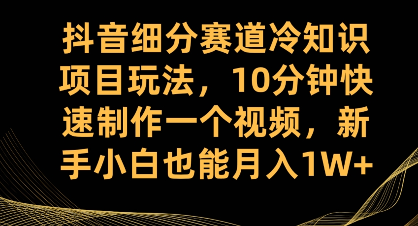 抖音细分赛道冷知识项目玩法，10分钟快速制作一个视频，新手小白也能月入1W+【揭秘】-小伟资源网