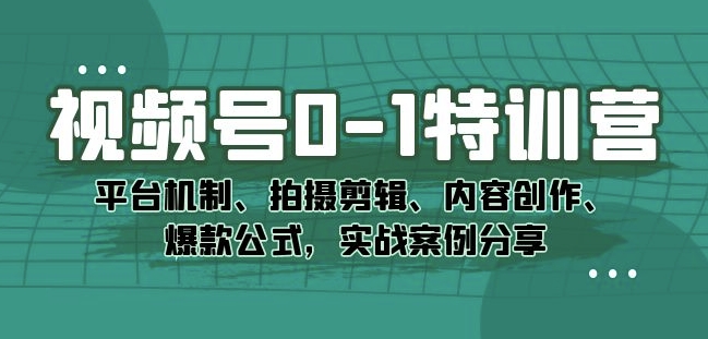 视频号0-1特训营：平台机制、拍摄剪辑、内容创作、爆款公式，实战案例分享-小伟资源网