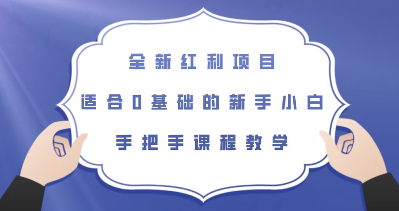 全新红利项目，适合0基础的新手小白，手把手课程教学【揭秘】-小伟资源网