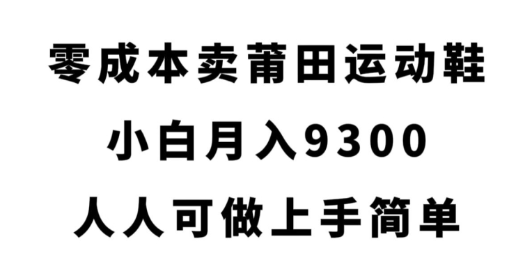 零成本卖莆田运动鞋，小白月入9300，人人可做上手简单【揭秘】-小伟资源网