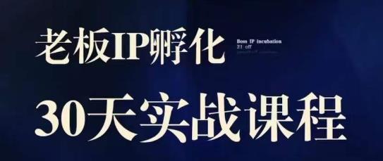 诸葛·2023老板IP实战课，实体同城引流获客，IP孵化必听-小伟资源网