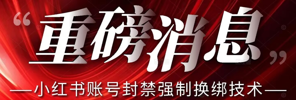 【最新】小红书账号封禁强制换绑技术可日赚300-小伟资源网