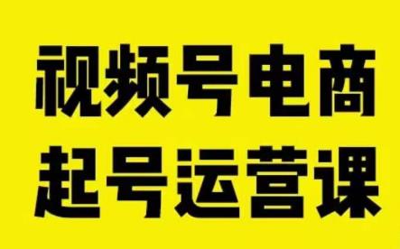 视频号电商起号运营课，教新人如何自然流起号，助力商家0-1突破-小伟资源网