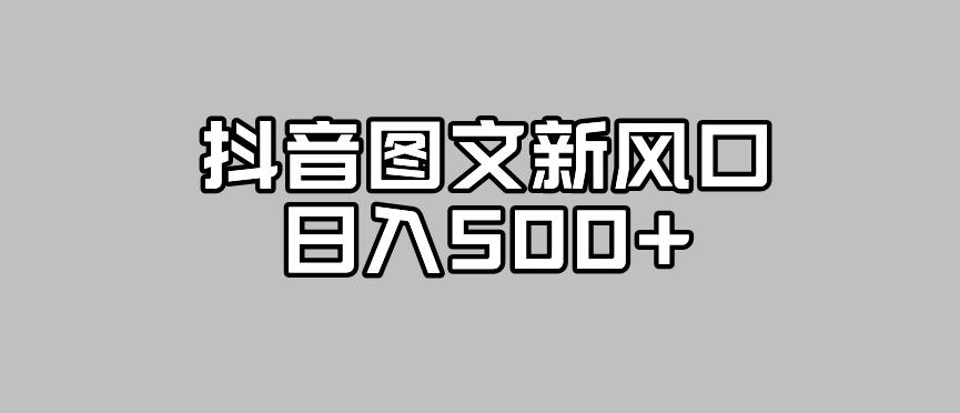 抖音图文最新风口，流量扶持非常高，日入500+【揭秘】-小伟资源网