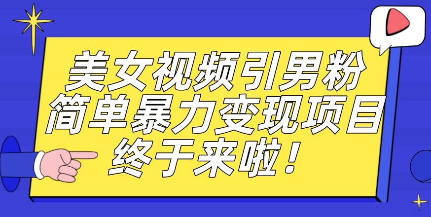 价值3980的男粉暴力引流变现项目，一部手机简单操作，新手小白轻松上手，每日收益500+【揭秘】-小伟资源网