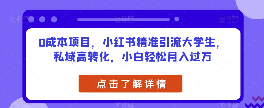 0成本项目，小红书精准引流大学生，私域高转化，小白轻松月入过万【揭秘】-小伟资源网