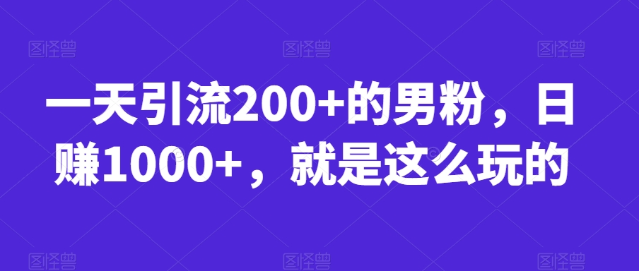 一天引流200+的男粉，日赚1000+，就是这么玩的【揭秘】-小伟资源网