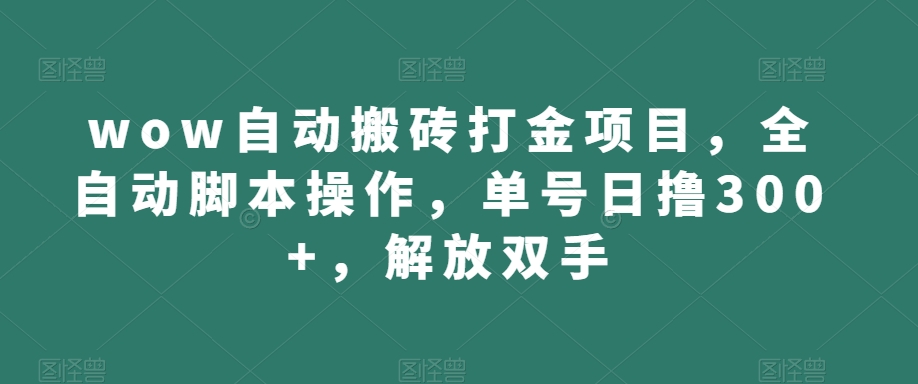 wow自动搬砖打金项目，全自动脚本操作，单号日撸300+，解放双手【揭秘】-小伟资源网