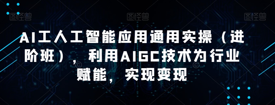 AI工人工智能应用通用实操（进阶班），利用AIGC技术为行业赋能，实现变现-小伟资源网