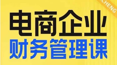 电商企业财务管理线上课，为电商企业规划财税-小伟资源网