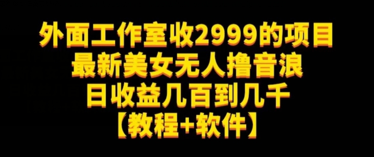 外面工作室收2999的项目最新美女无人撸音浪日收益几百到几千【教程+软件】（仅揭秘）-小伟资源网