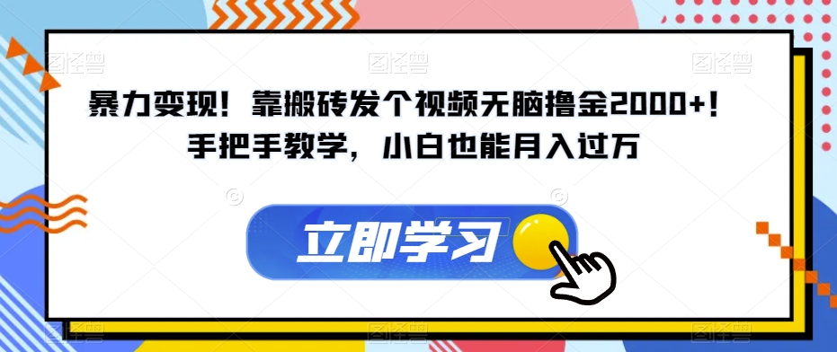 暴力变现！靠搬砖发个视频无脑撸金2000+！手把手教学，小白也能月入过万【揭秘】-小伟资源网