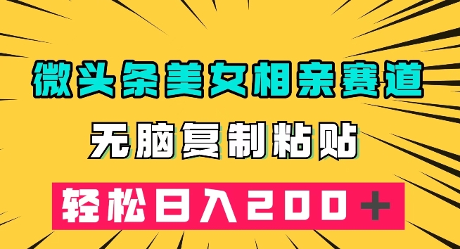 微头条冷门美女相亲赛道，无脑复制粘贴，轻松日入200＋【揭秘】-小伟资源网