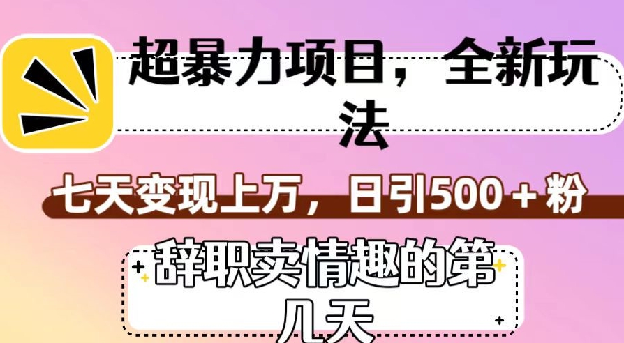 超暴利项目，全新玩法（辞职卖情趣的第几天），七天变现上万，日引500+粉【揭秘】-小伟资源网