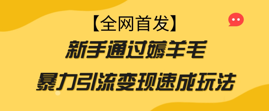 【全网首发】新手通过薅羊毛暴力引流变现速成玩法-小伟资源网