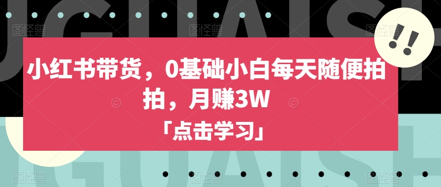 小红书带货，0基础小白每天随便拍拍，月赚3W【揭秘】-小伟资源网