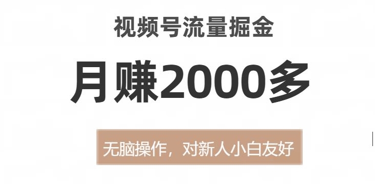 视频号流量掘金，无脑操作，对新人小白友好，月赚2000多【揭秘】-小伟资源网