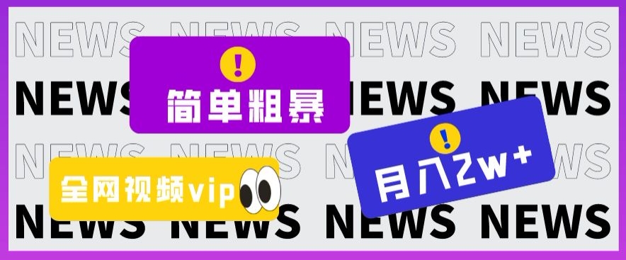 简单粗暴零成本，高回报，全网视频VIP掘金项目，月入2万＋【揭秘】-小伟资源网