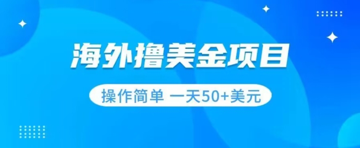 撸美金项目无门槛操作简单小白一天50+美刀-小伟资源网