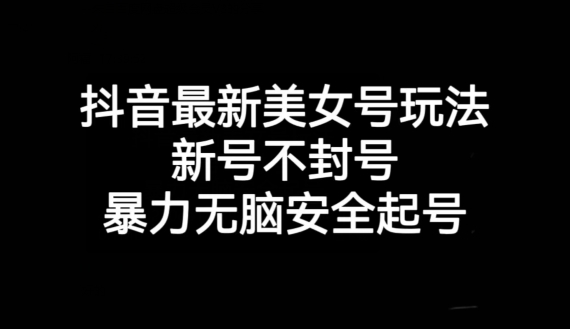 抖音最新美女号玩法，新号不封号，暴力无脑安全起号【揭秘】-小伟资源网