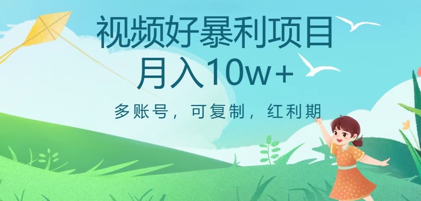 视频号暴利项目，多账号，可复制，红利期，月入10w+【揭秘】-小伟资源网