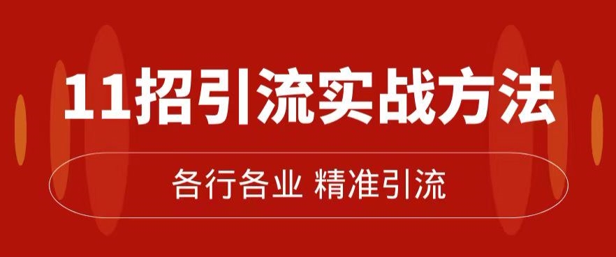 精准引流术：11招引流实战方法，让你私域流量加到爆（11节课完整)-小伟资源网