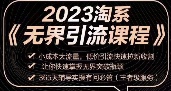 2023淘系无界引流实操课程，​小成本大流量，低价引流快速拉新收割，让你快速掌握无界突破瓶颈-小伟资源网