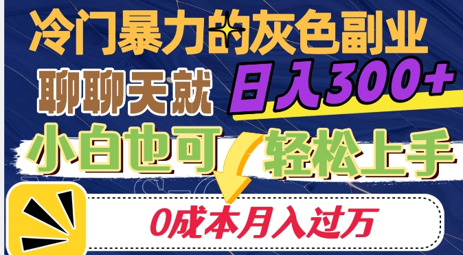 冷门暴利的副业项目，聊聊天就能日入300+，0成本月入过万【揭秘】-小伟资源网