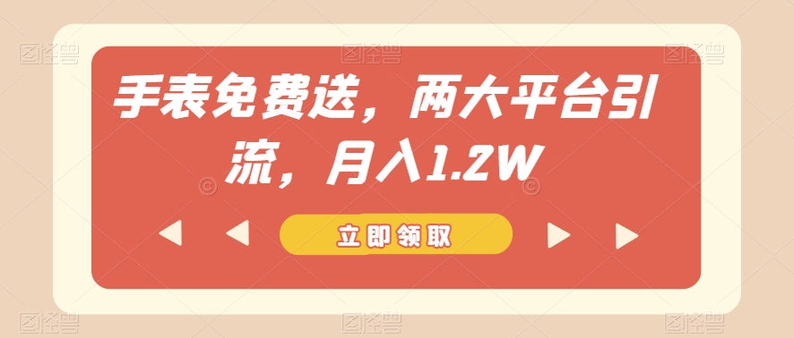 手表免费送，两大平台引流，月入1.2W【揭秘】-小伟资源网