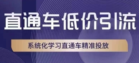 直通车低价引流课，系统化学习直通车精准投放-小伟资源网