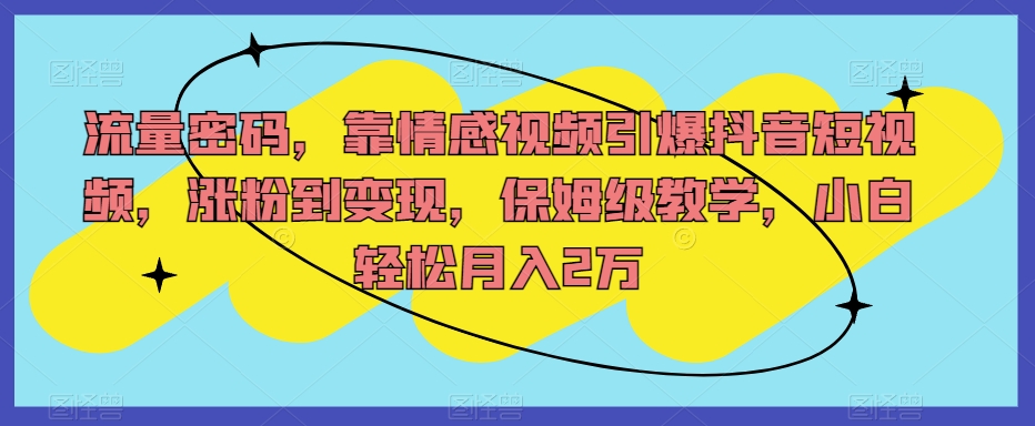 流量密码，靠情感视频引爆抖音短视频，涨粉到变现，保姆级教学，小白轻松月入2万【揭秘】-小伟资源网