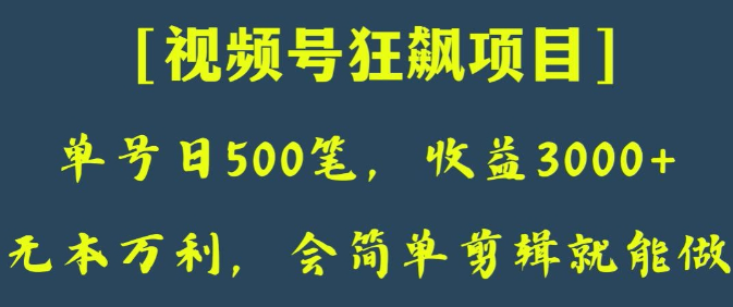 日收款500笔，纯利润3000+，视频号狂飙项目，会简单剪辑就能做【揭秘】-小伟资源网