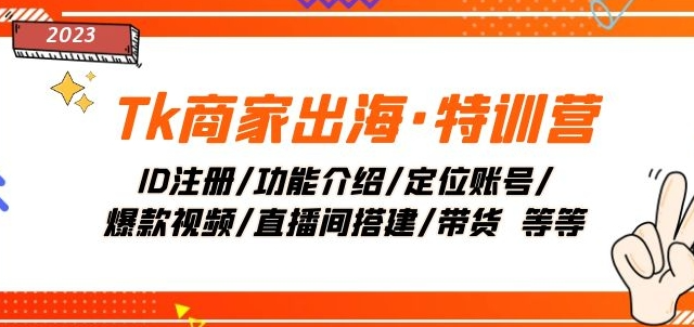 Tk商家出海·特训营：ID注册/功能介绍/定位账号/爆款视频/直播间搭建/带货-小伟资源网