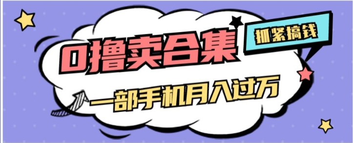 0撸项目月入过万，售卖全套ai工具合集，一单29.9元，一部手机即可【揭秘】-小伟资源网