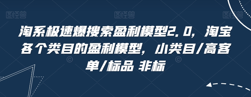 淘系极速爆搜索盈利模型2.0，淘宝各个类目的盈利模型，小类目/高客单/标品 非标-小伟资源网