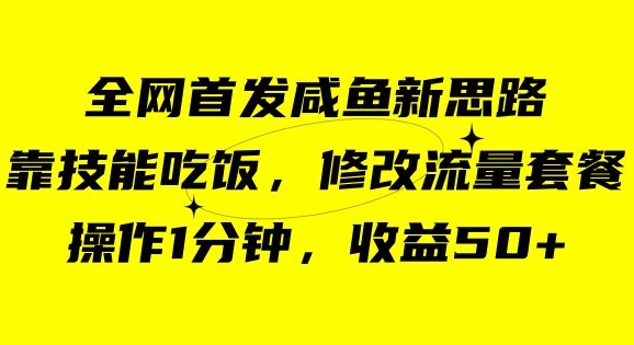 咸鱼冷门新玩法，靠“技能吃饭”，修改流量套餐，操作1分钟，收益50【揭秘】-小伟资源网