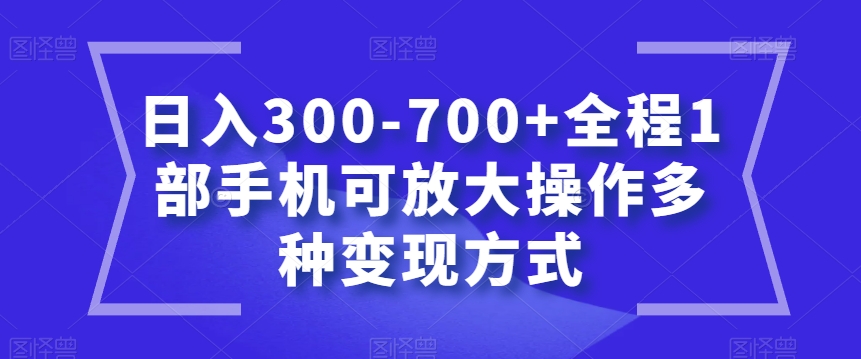 日入300-700+全程1部手机可放大操作多种变现方式【揭秘】-小伟资源网