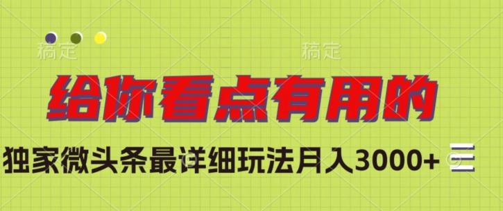 独家微头条最详细玩法，月入3000+【揭秘】-小伟资源网