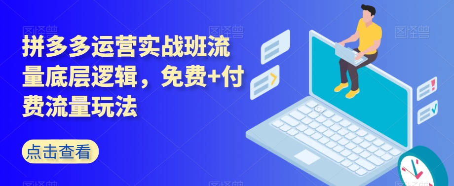 拼多多运营实战班流量底层逻辑，免费+付费流量玩法-小伟资源网