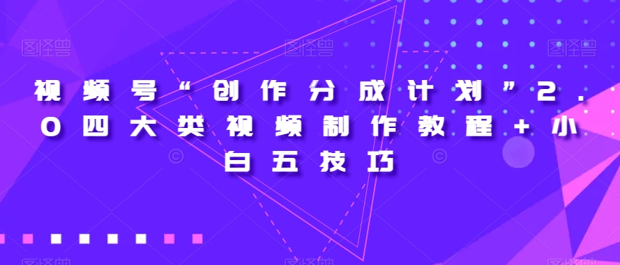 视频号“创作分成计划”2.0四大类视频制作教程+小白五技巧【揭秘】-小伟资源网