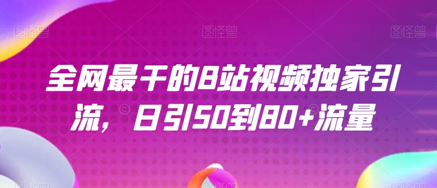 全网最干的B站视频独家引流，日引50到80+流量【揭秘】-小伟资源网