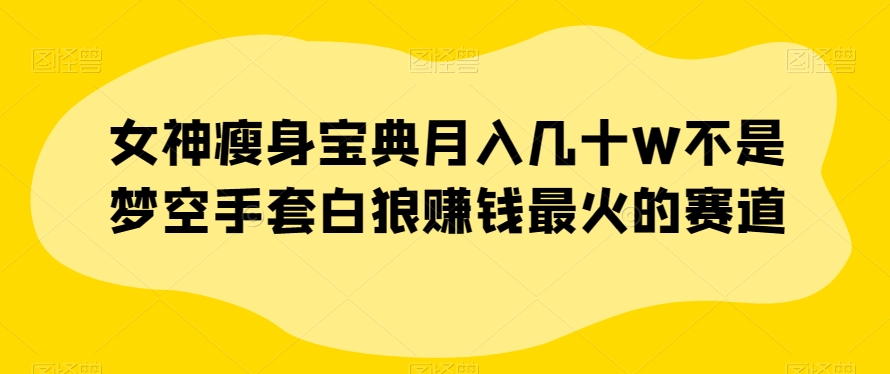 女神瘦身宝典月入几十W不是梦空手套白狼赚钱最火的赛道【揭秘】-小伟资源网