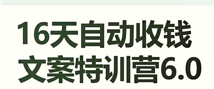 16天自动收钱文案特训营6.0，学会儿每天自动咔咔收钱-小伟资源网